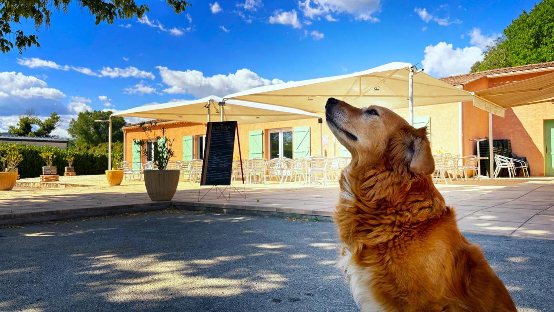 Camping Tikayan L'Oxygene Valensole Kültér fotó